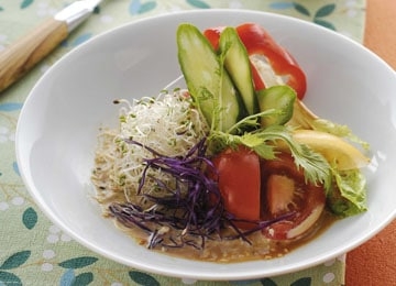 田園生菜佐和風醬